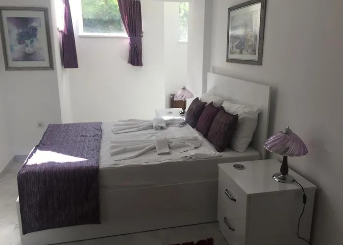 Sunrise 1 فتحية